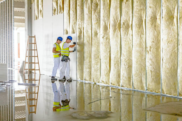 Types of Insulation We Offer in Mount Hope, WV